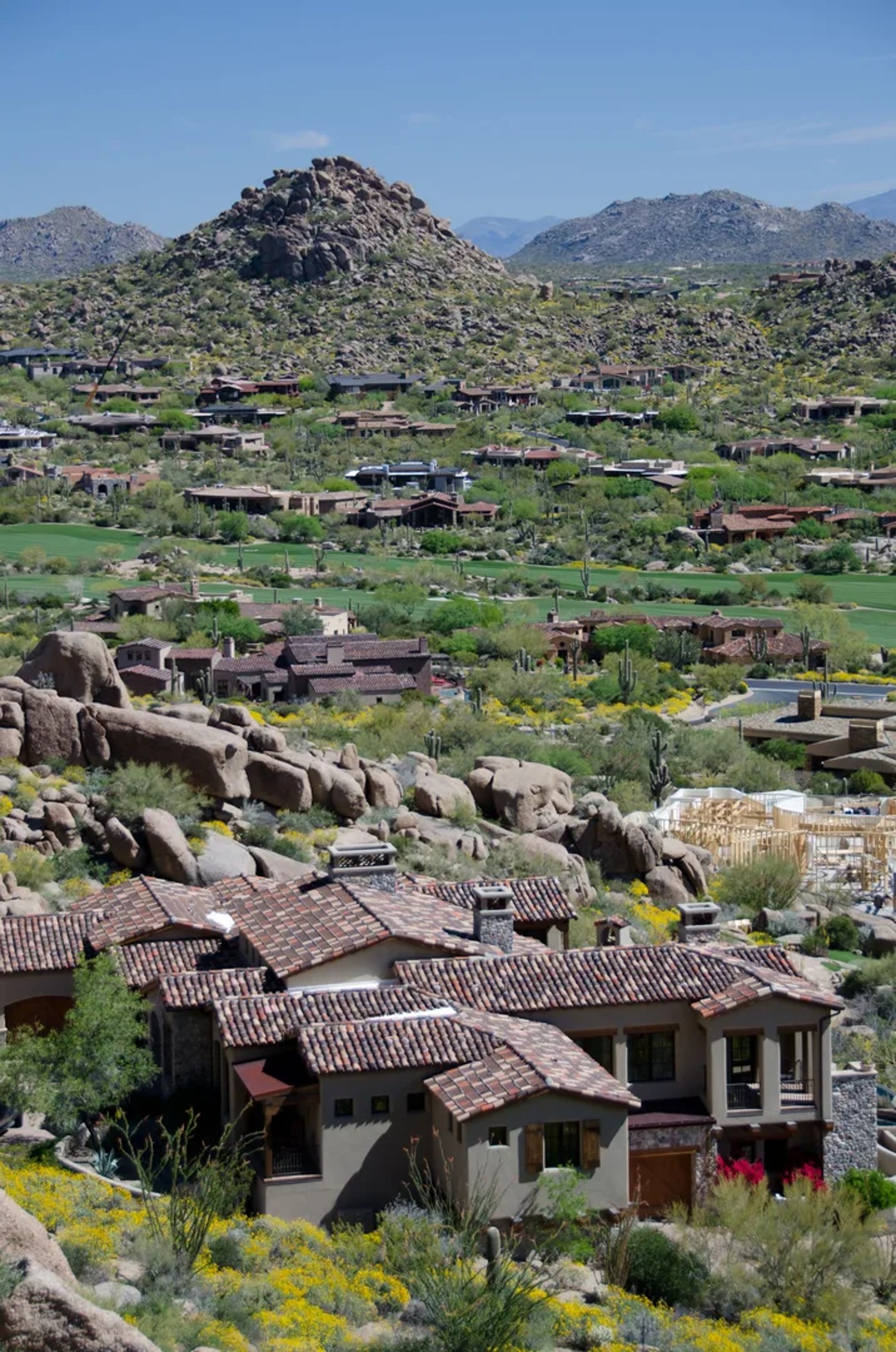 Estate Protection Consultants