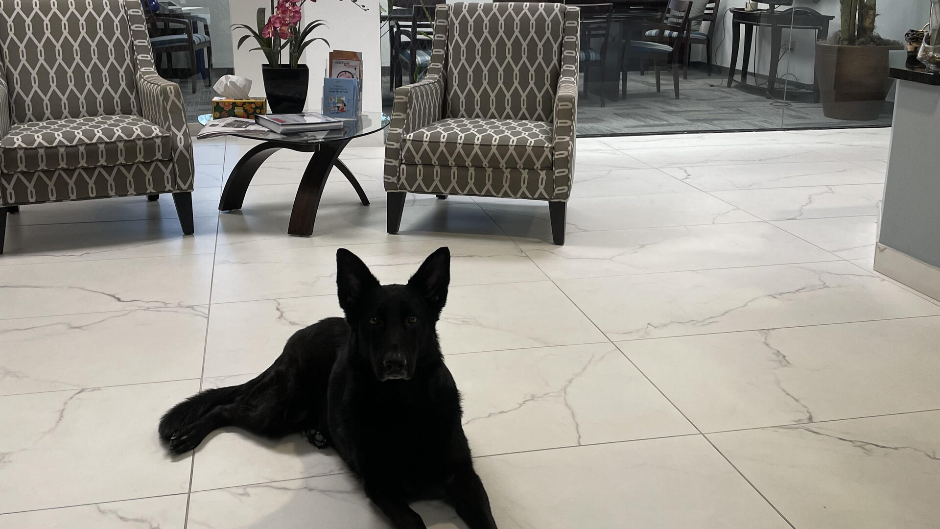 Pet trust planning — family with their dog